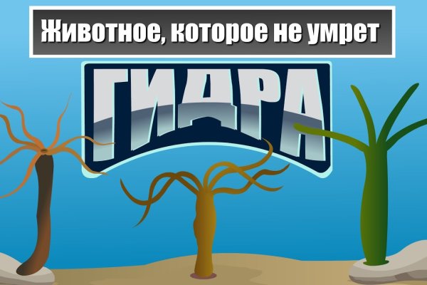 Кракен зайти зеркало